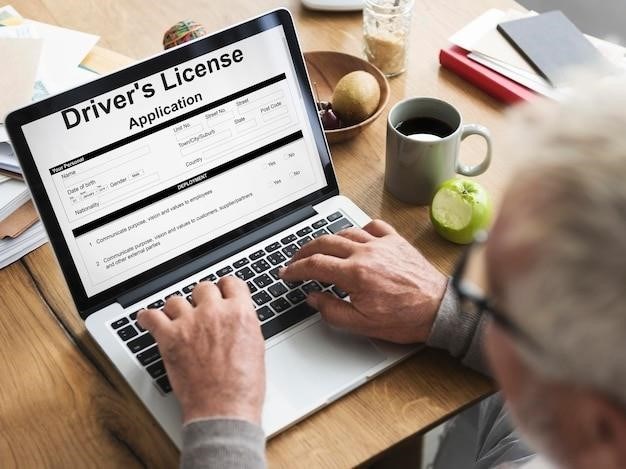 international driving license application form