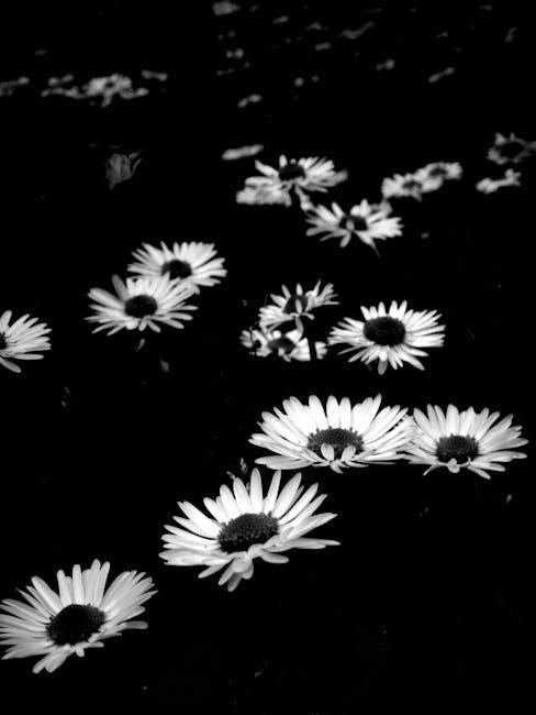 hanuman chalisa lyrics telugu pdf